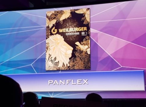 PANFLEX byl oceněn za projekt Lion