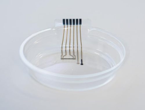 Greiner Assistec spolupracuje na vývoji inteligentní Petriho misky